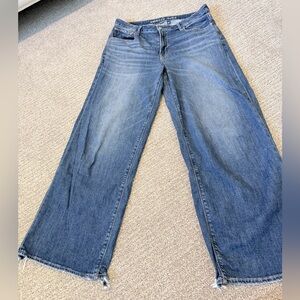 American Eagle Outfitters Low-Rise Baggy Wide Leg Jeans